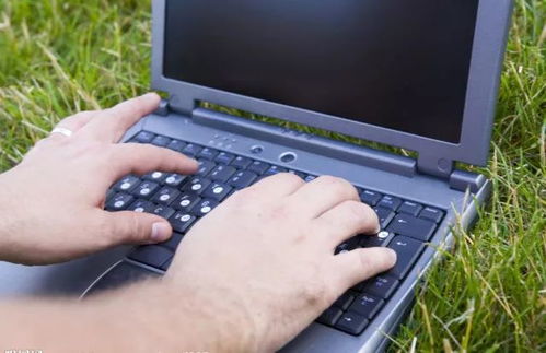 美丽中国，我是行动者——计算机软件研发的绿色使命与创新实践